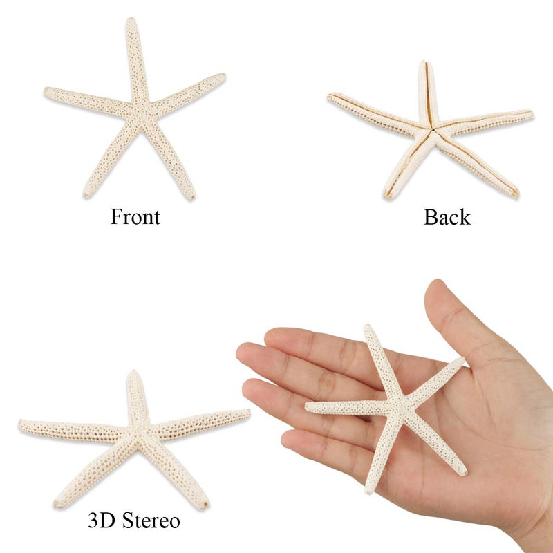 Jangostor 20 PCS Starfish, 2.5" to 4" Natural Seashells Starfish Star Fish Shells Decorations White Starfish Ornaments Perfect for Wedding Beach Theme Party Home Decorations, DIY Crafts, Fish Tank - Image 3